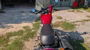 Royal Enfield Interceptor 650 (2019 - 20)  (6)