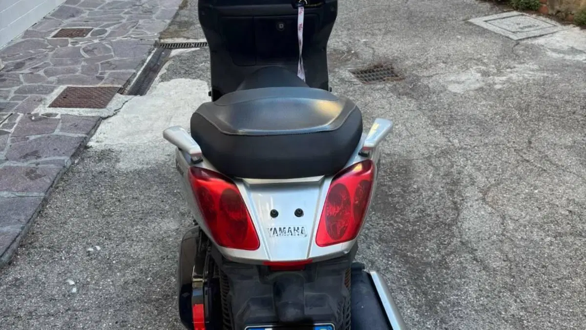 Yamaha X-Max 250 (2007 - 09)  (6)