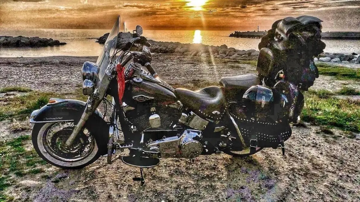 Harley-Davidson 1584 Heritage Classic (2008 - 10) - FLSTC  (7)