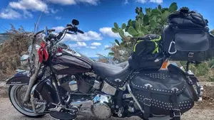 Harley-Davidson 1584 Heritage Classic (2008 - 10) - FLSTC  (8)