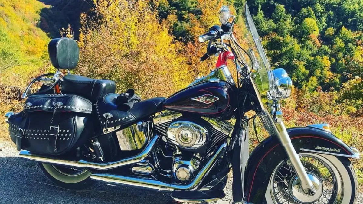 Harley-Davidson 1584 Heritage Classic (2008 - 10) - FLSTC  (9)