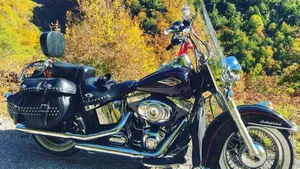 Harley-Davidson 1584 Heritage Classic (2008 - 10) - FLSTC  (9)