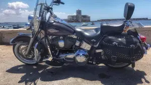 Harley-Davidson 1584 Heritage Classic (2008 - 10) - FLSTC  (10)