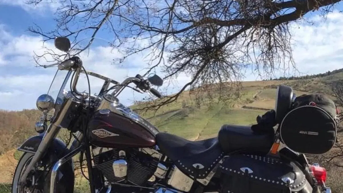 Harley-Davidson 1584 Heritage Classic (2008 - 10) - FLSTC  (11)