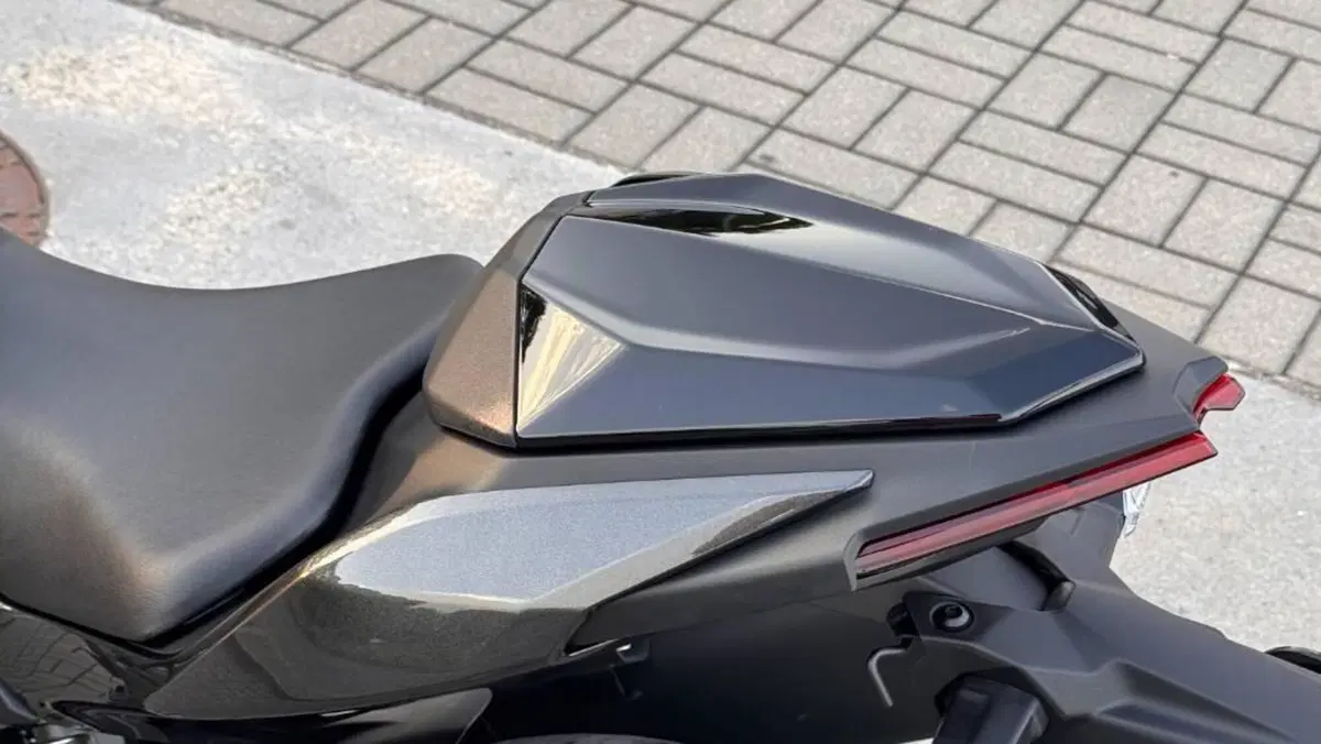 Kawasaki Z 500 SE (2024 - 26)  (5)