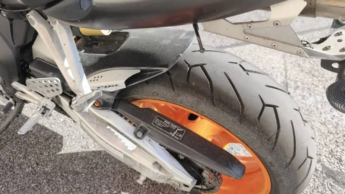Honda CBR 1000 RR Fireblade (2006 - 07)  (4)