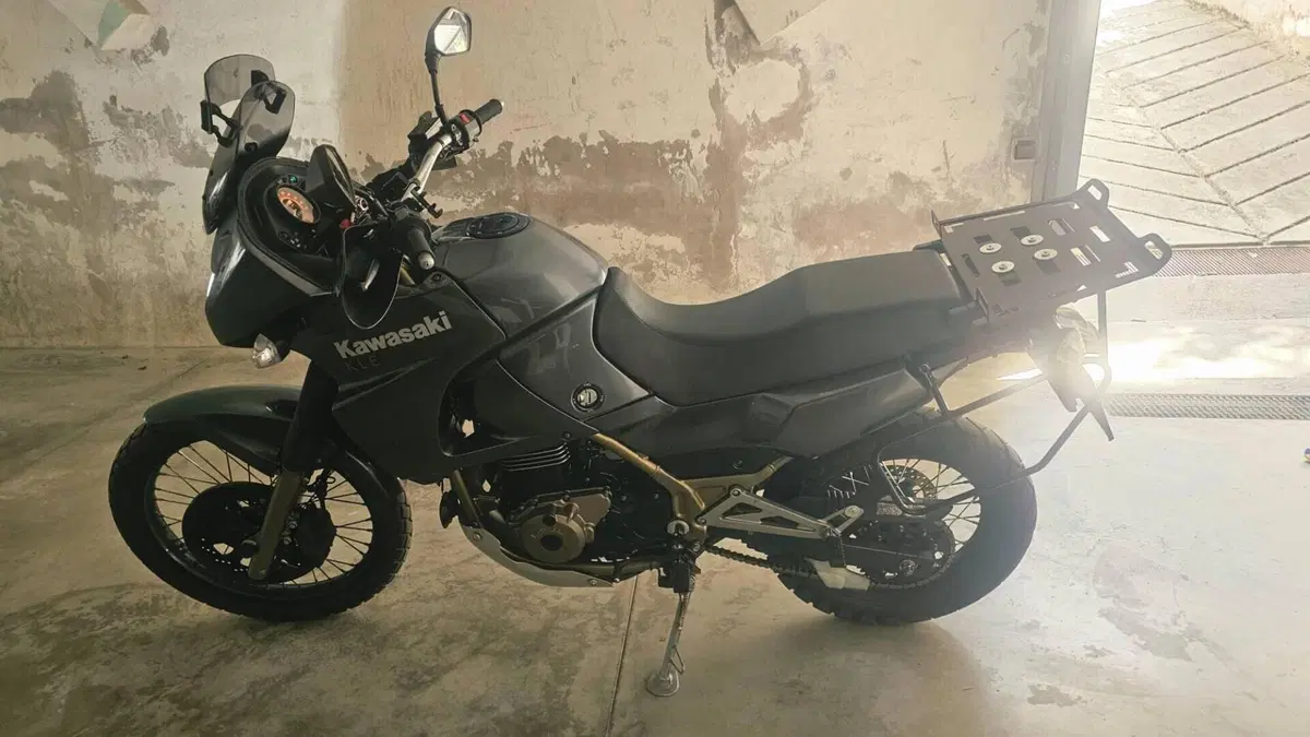 Kawasaki KLE 500 (2005 - 06)  (7)