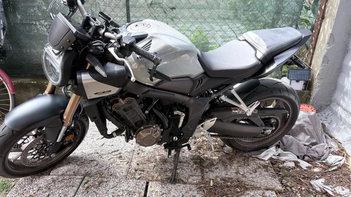 Honda CB 650 R E-Clutch (2024 - 26) 
