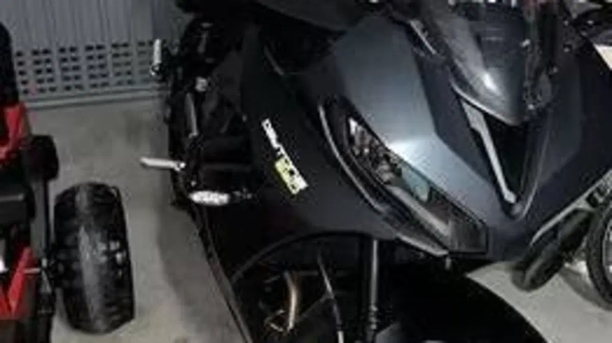 Triumph Daytona 660 (2024 - 26)  (4)
