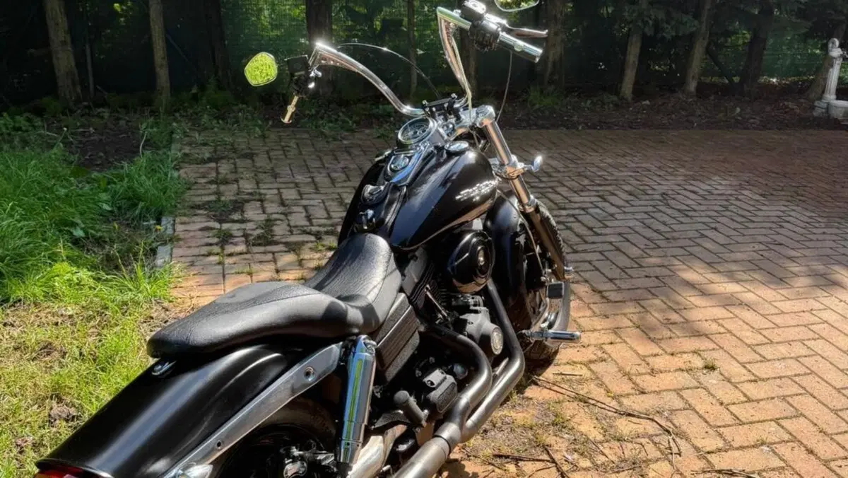 Harley-Davidson 1584 Fat Bob (2007 - 13) - FXDF  (3)