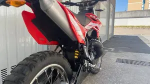 Betamotor RR 50 Enduro (2018 - 20)  (4)