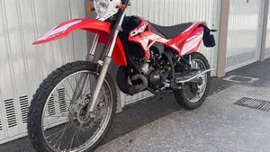 Betamotor RR 50 Enduro (2018 - 20)  (7)