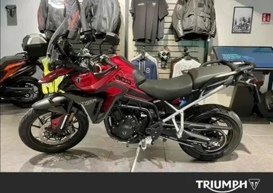 Triumph Tiger 900 GT (2024 - 26) - Annuncio 10057438