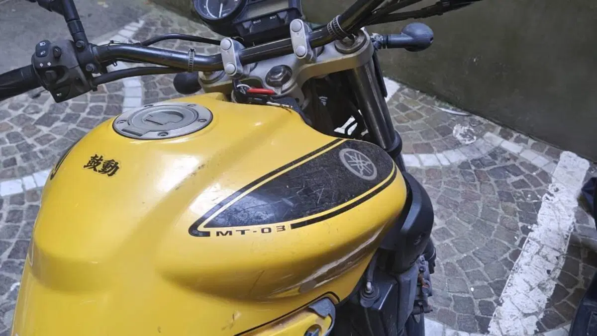Yamaha MT-03 (2006 - 14)  (5)