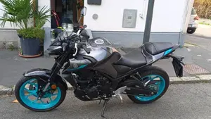 Yamaha MT-03 (2022 - 24)  (4)