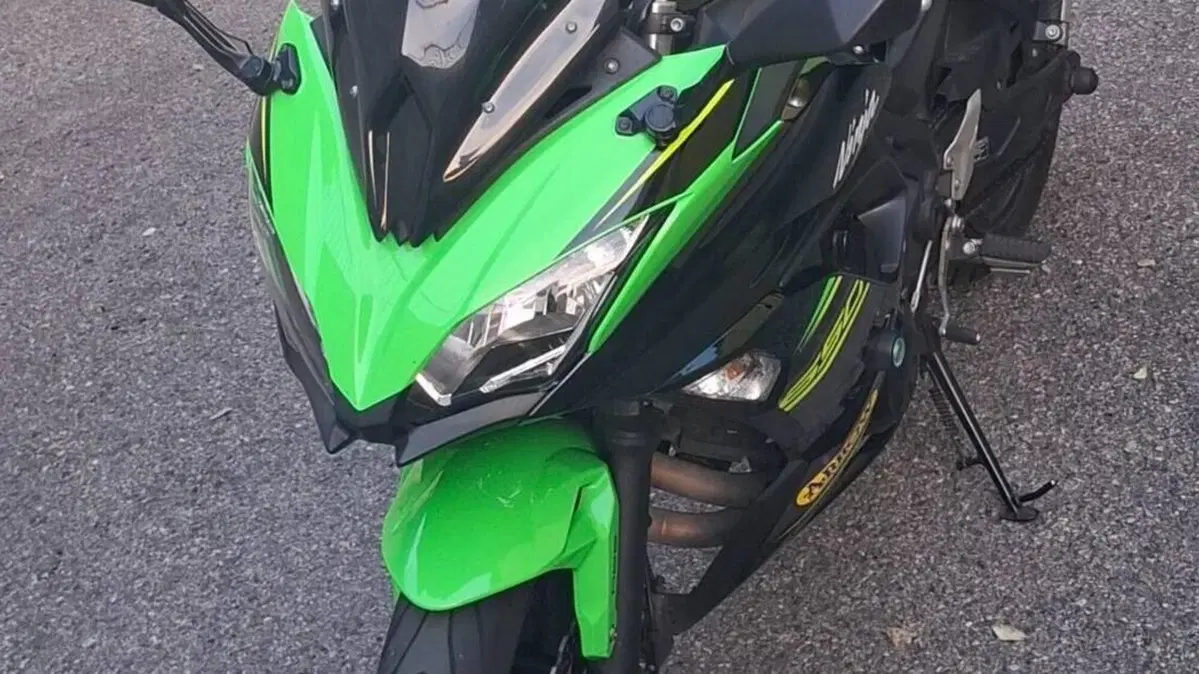 Kawasaki Ninja 650 KRT Edition (2017 - 19)  (2)