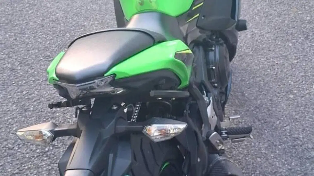 Kawasaki Ninja 650 KRT Edition (2017 - 19)  (4)