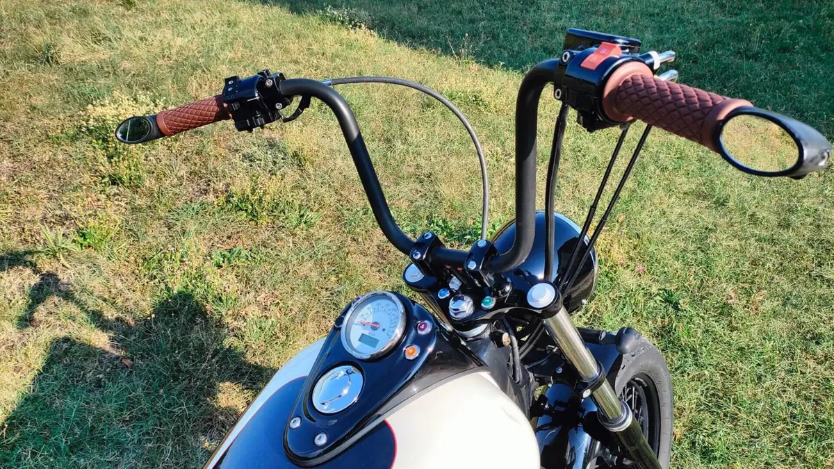 Honda VT 750 C Shadow Monotone (1997 - 01)  (9)