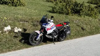 Ducati DesertX (2022 - 25) usata