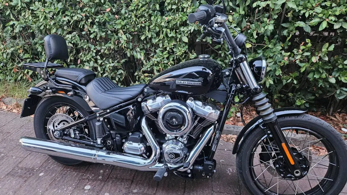 Harley-Davidson Street Bob 117 (2025 - 26) 