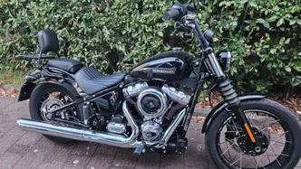 Harley-Davidson Street Bob 117 (2025 - 26) usata