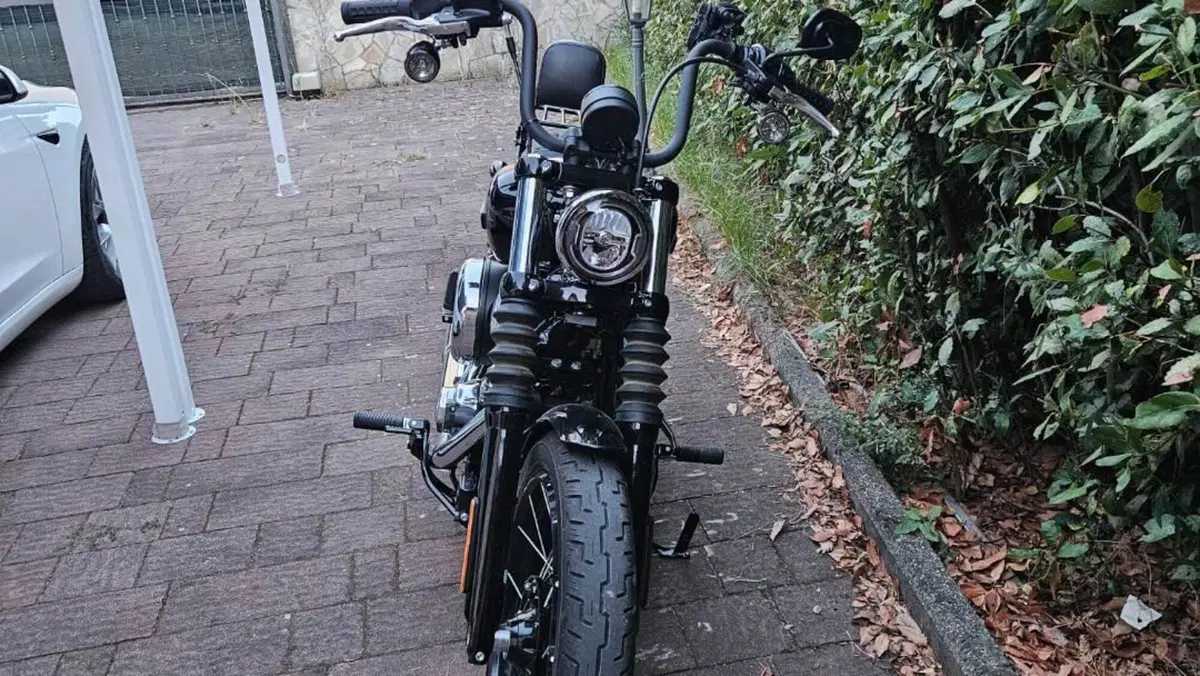 Harley-Davidson Street Bob 117 (2025 - 26)  (2)