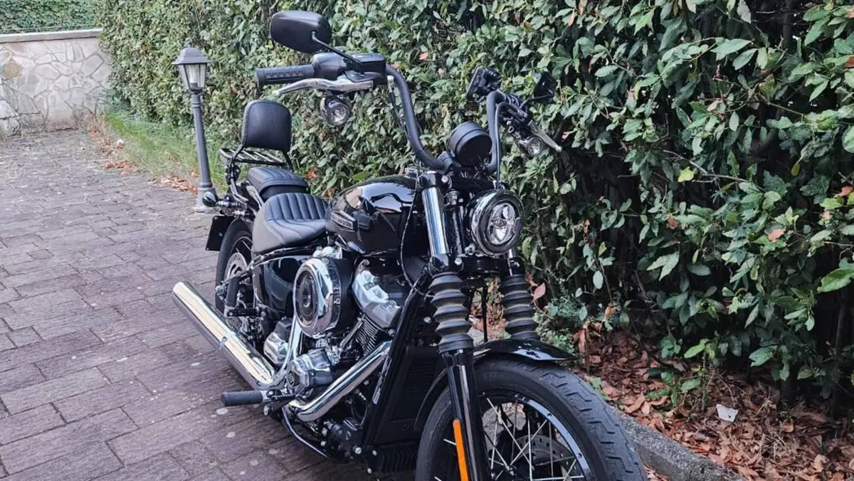 Harley-Davidson Street Bob 117 (2025 - 26)  (3)