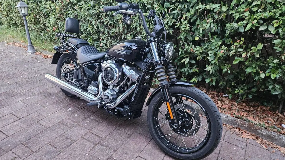 Harley-Davidson Street Bob 117 (2025 - 26)  (4)