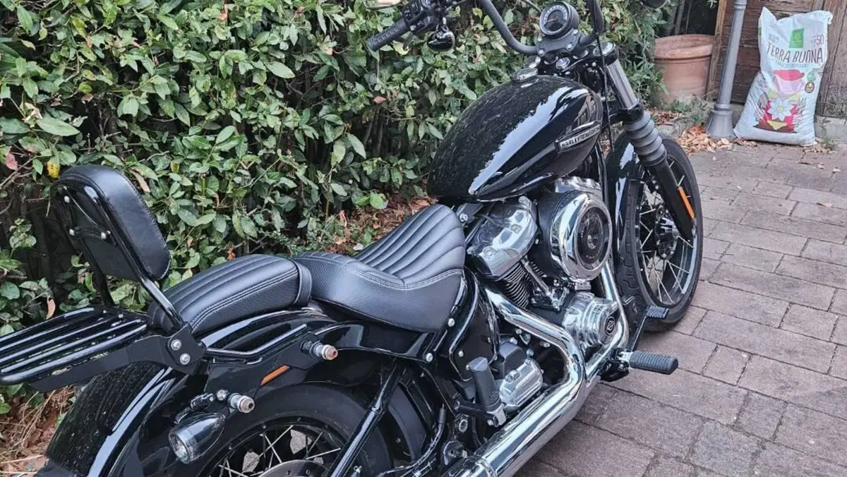 Harley-Davidson Street Bob 117 (2025 - 26)  (5)