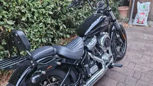 Harley-Davidson Street Bob 117 (2025 - 26)  (5)