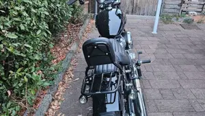Harley-Davidson Street Bob 117 (2025 - 26)  (7)