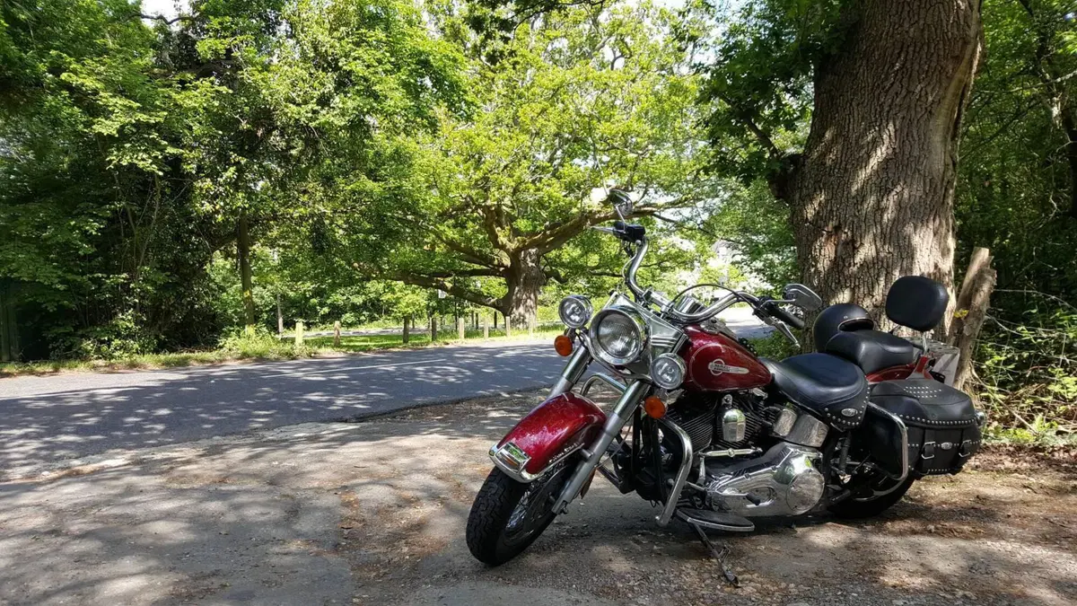 Harley-Davidson 1450 Heritage Classic (2003 - 05) - FLSTCI  (2)