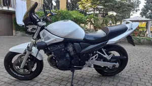 Suzuki GSF 650 Bandit (2005 - 06)  (2)