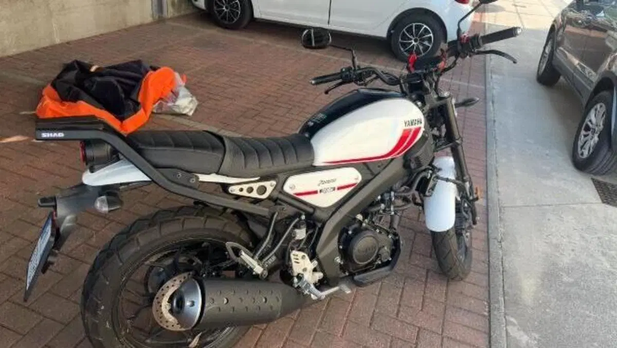 Yamaha XSR 125 (2021 - 24)  (4)