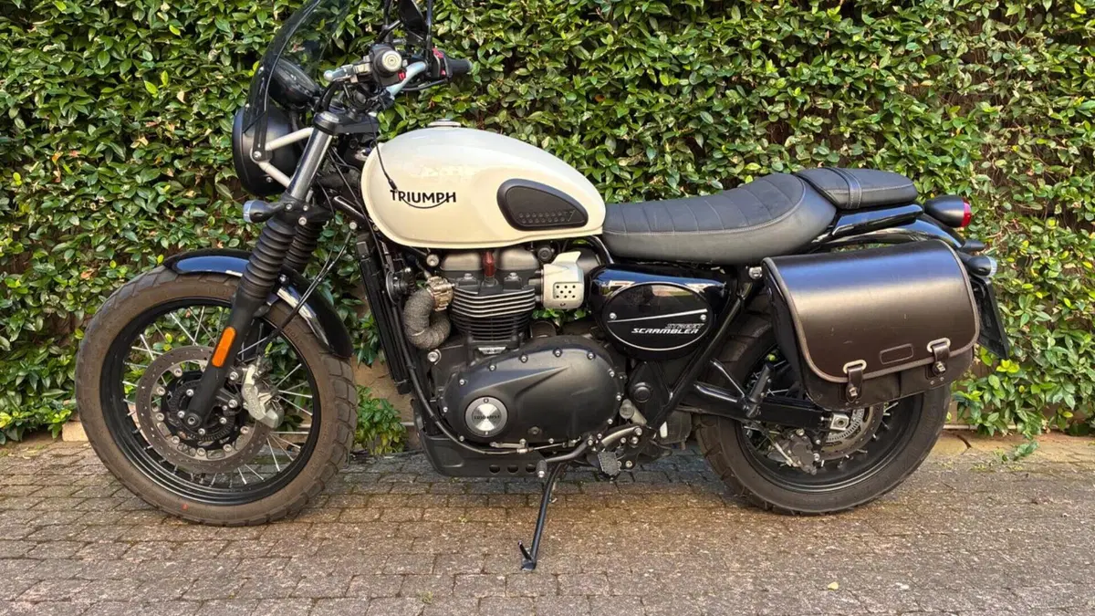 Triumph Street Scrambler 900 (2019 - 20)  (3)
