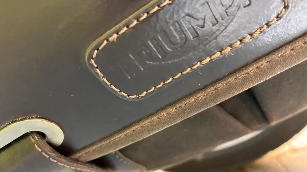 Triumph Street Scrambler 900 (2019 - 20)  (10)