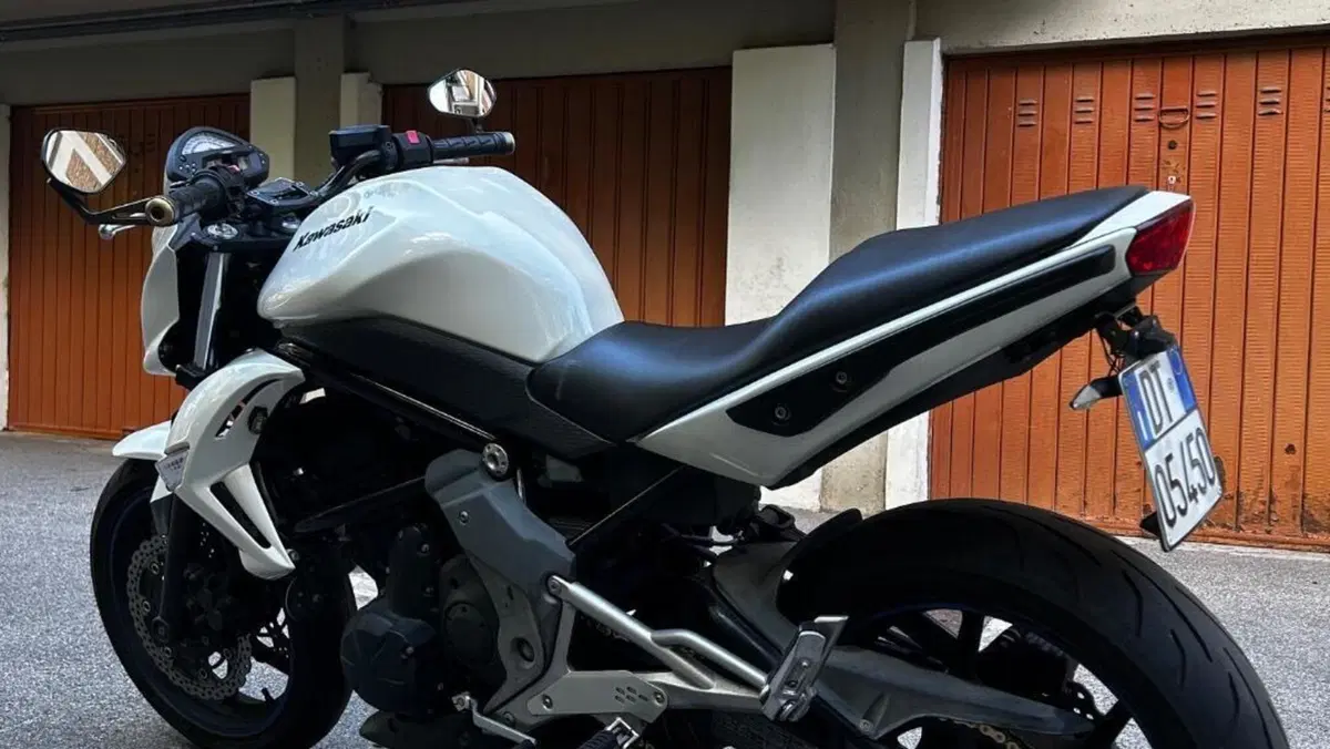 Kawasaki ER-6N (2009 - 11)  (2)
