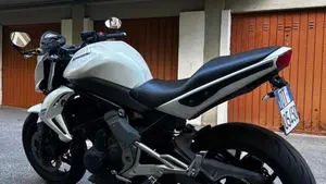 Kawasaki ER-6N (2009 - 11)  (2)