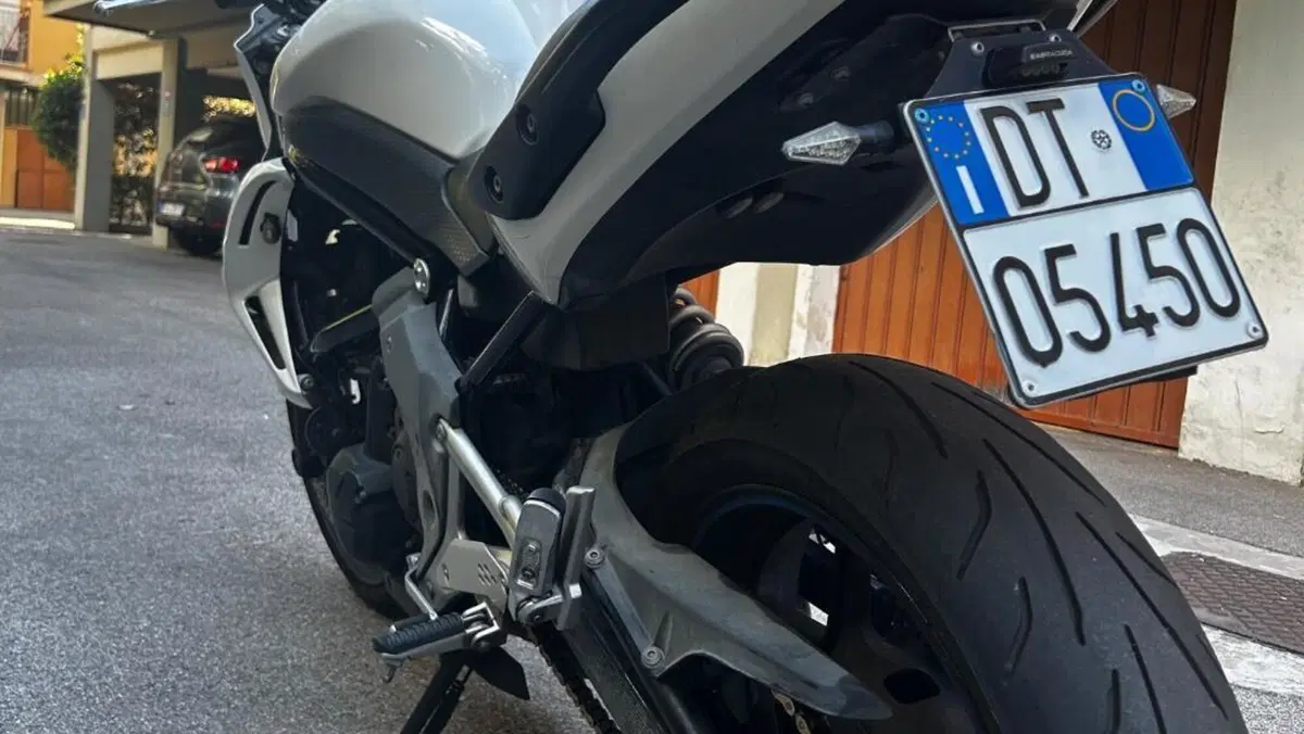 Kawasaki ER-6N (2009 - 11)  (4)