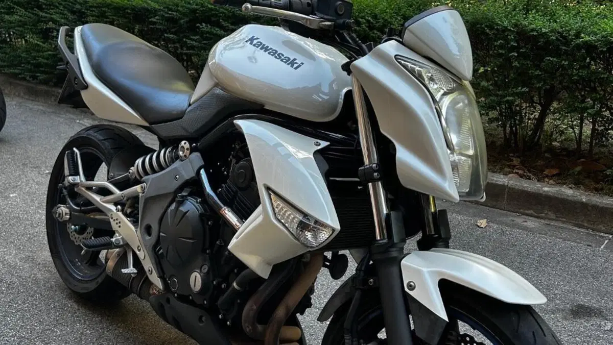 Kawasaki ER-6N (2009 - 11)  (5)