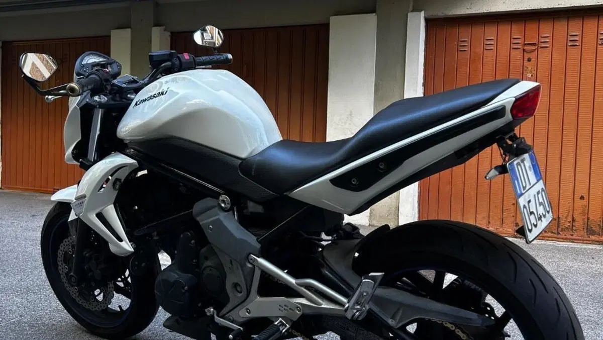 Kawasaki ER-6N (2009 - 11)  (7)