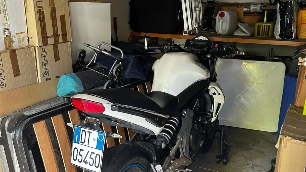 Kawasaki ER-6N (2009 - 11)  (8)