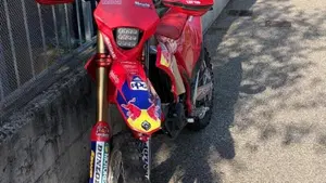 GASGAS EC 250 F (2021)  (3)