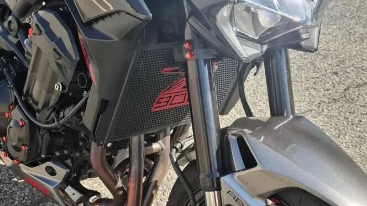 Kawasaki Z 900 SE (2022 - 24)  (5)