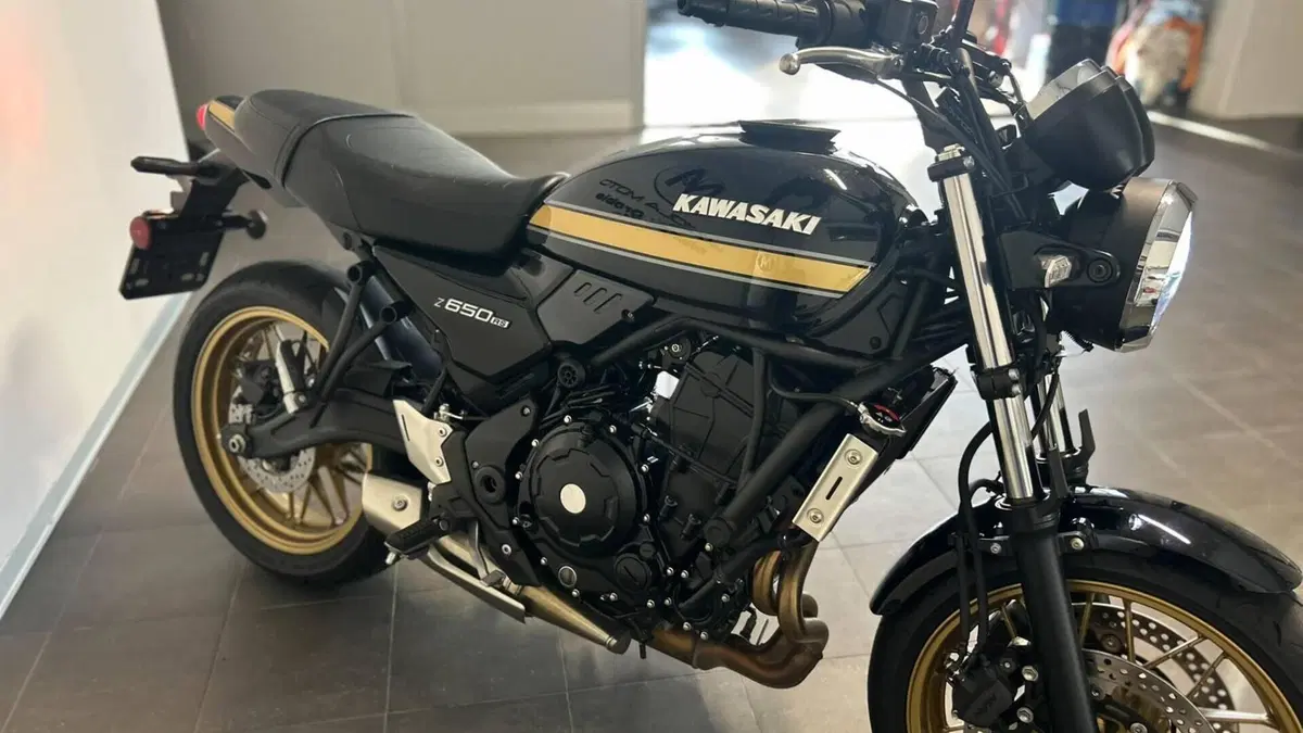 Kawasaki Z 650 RS (2025 - 26)  (8)