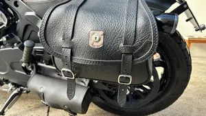 Indian Scout 1133 (2021 - 25)  (4)