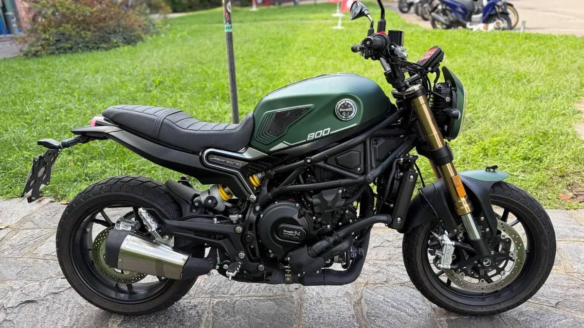 Benelli Leoncino 800 (2022 - 26)  (5)