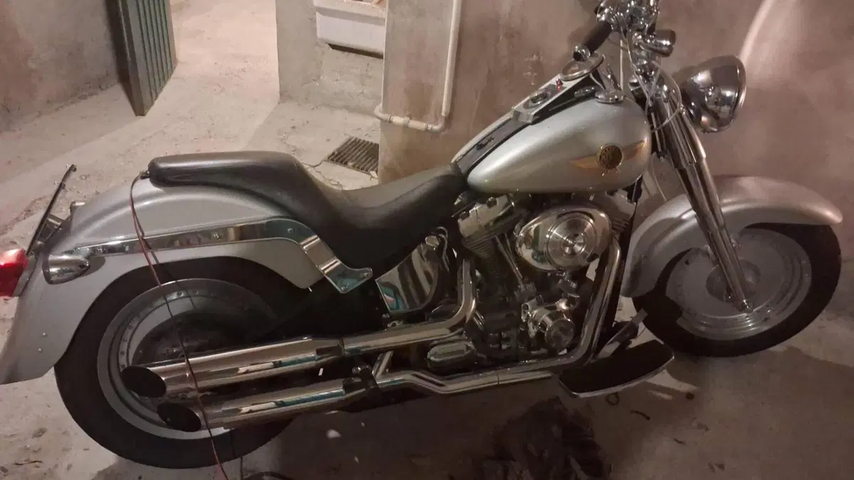 Harley-Davidson 1550 Fat Boy 15th Anniversary (2005) - FLSTFIAE  (6)