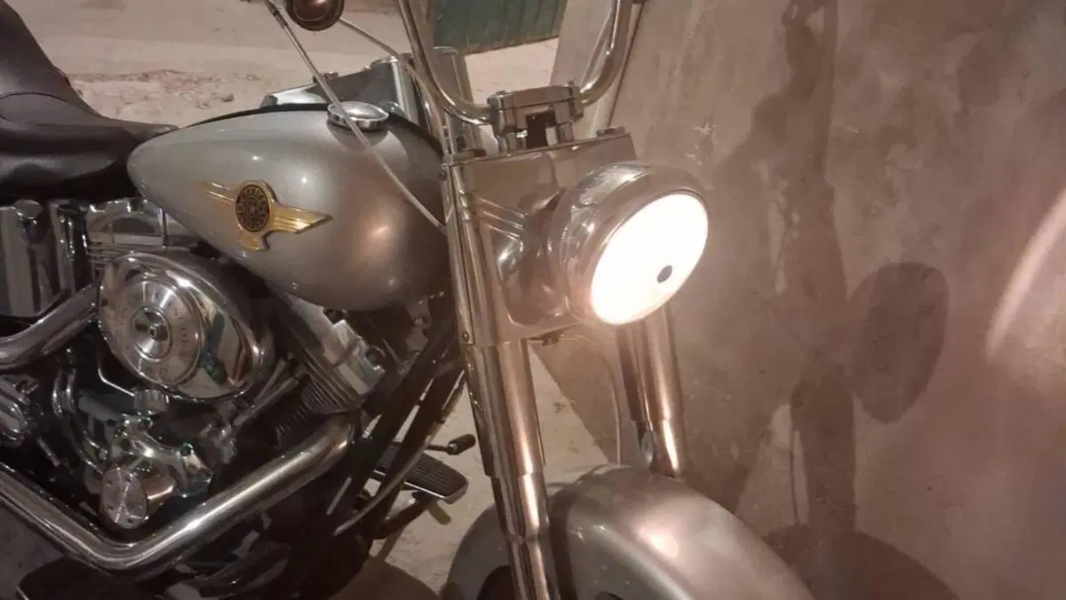 Harley-Davidson 1550 Fat Boy 15th Anniversary (2005) - FLSTFIAE  (7)