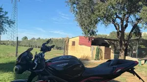 Triumph Street Triple R (2020 - 22)  (2)